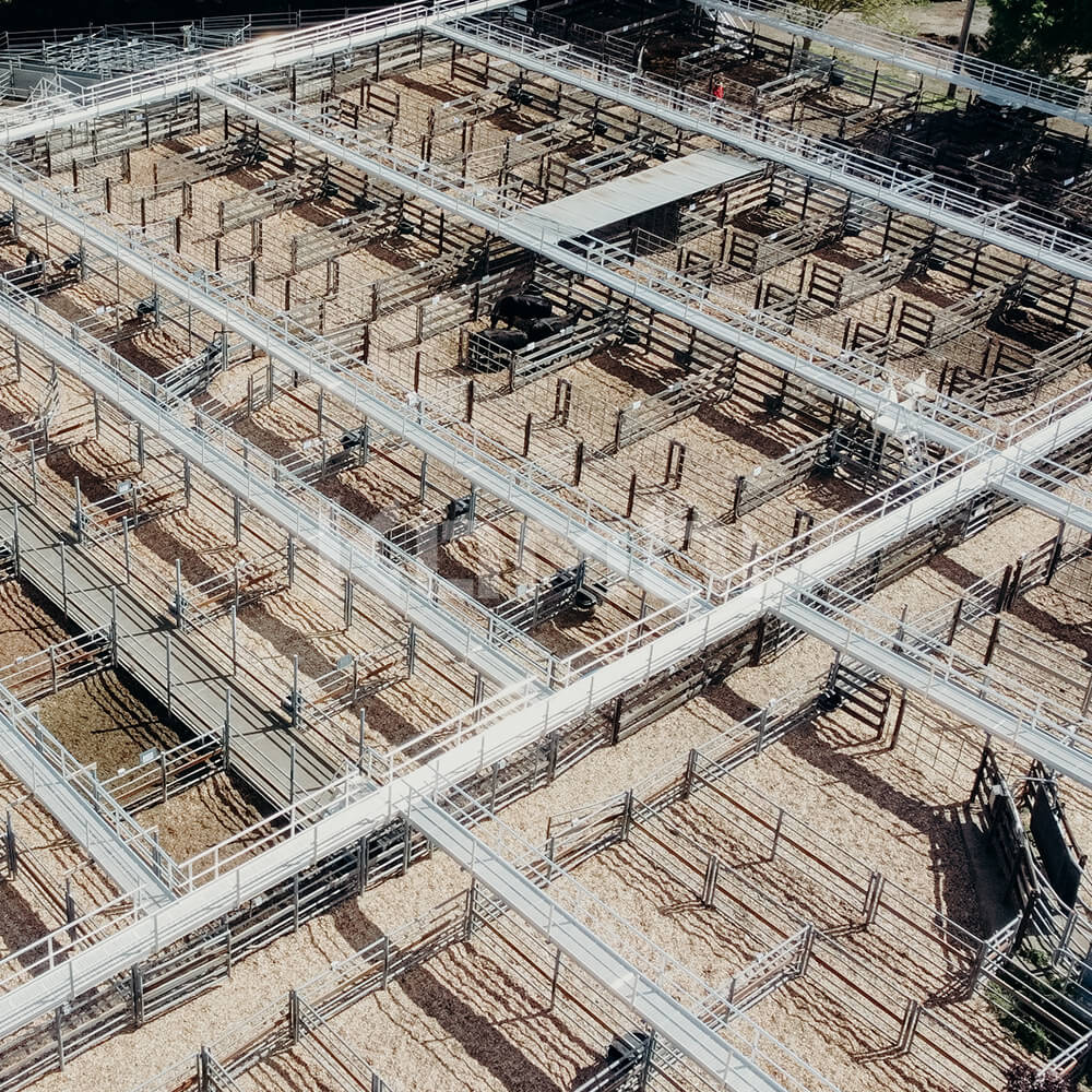 Drone view of KOMBI Aluminium Elevated Platforms installed at Kyneton Saleyards