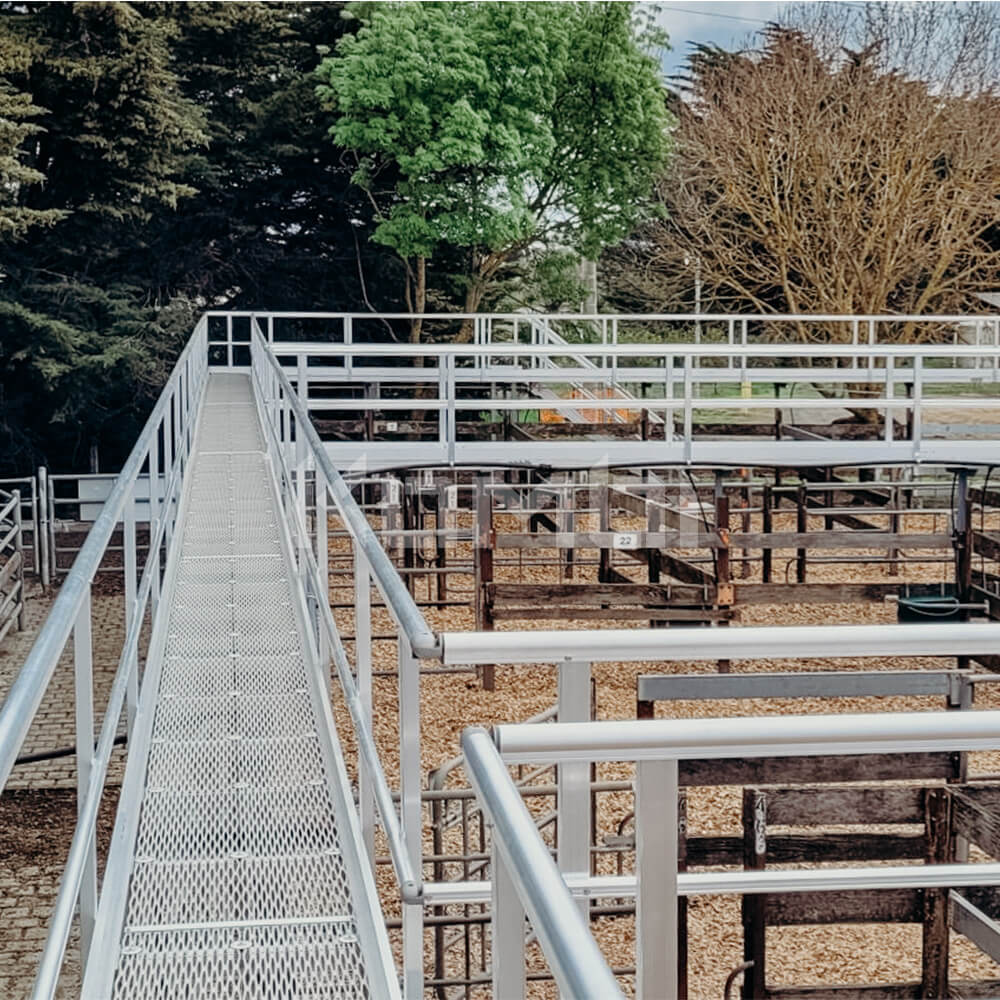KOMBI Access Platforms manufactured in aluminium providing elevated viewing at Kyneton Saleyards